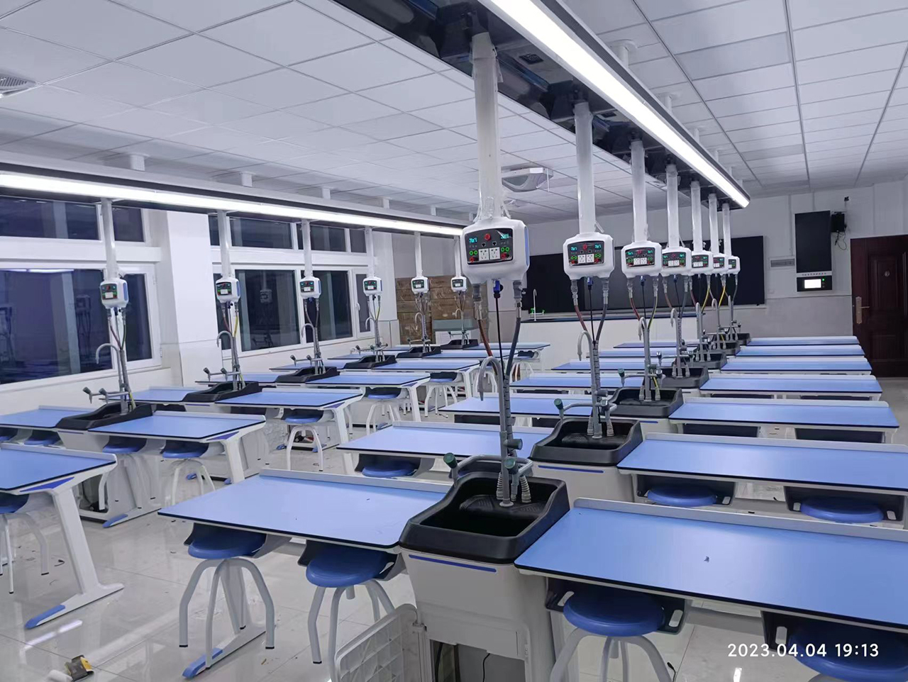 生物吊裝C款1 生物吊裝C款1