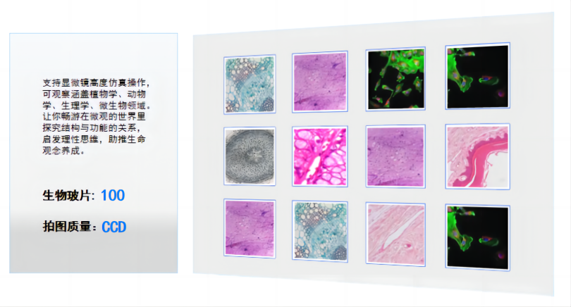 429F6769-384B-4bfe-9451-55A167D6FC7B(1)